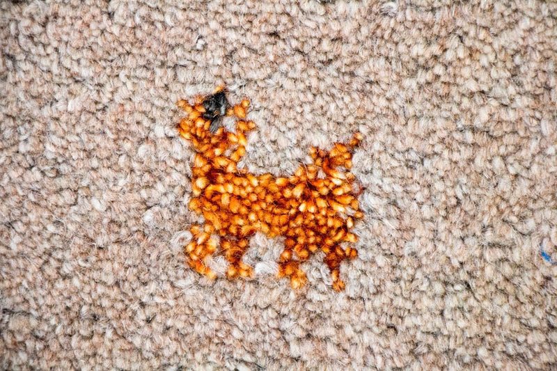 Gabbeh Rug - Indus - 200 x 140 cm - brown