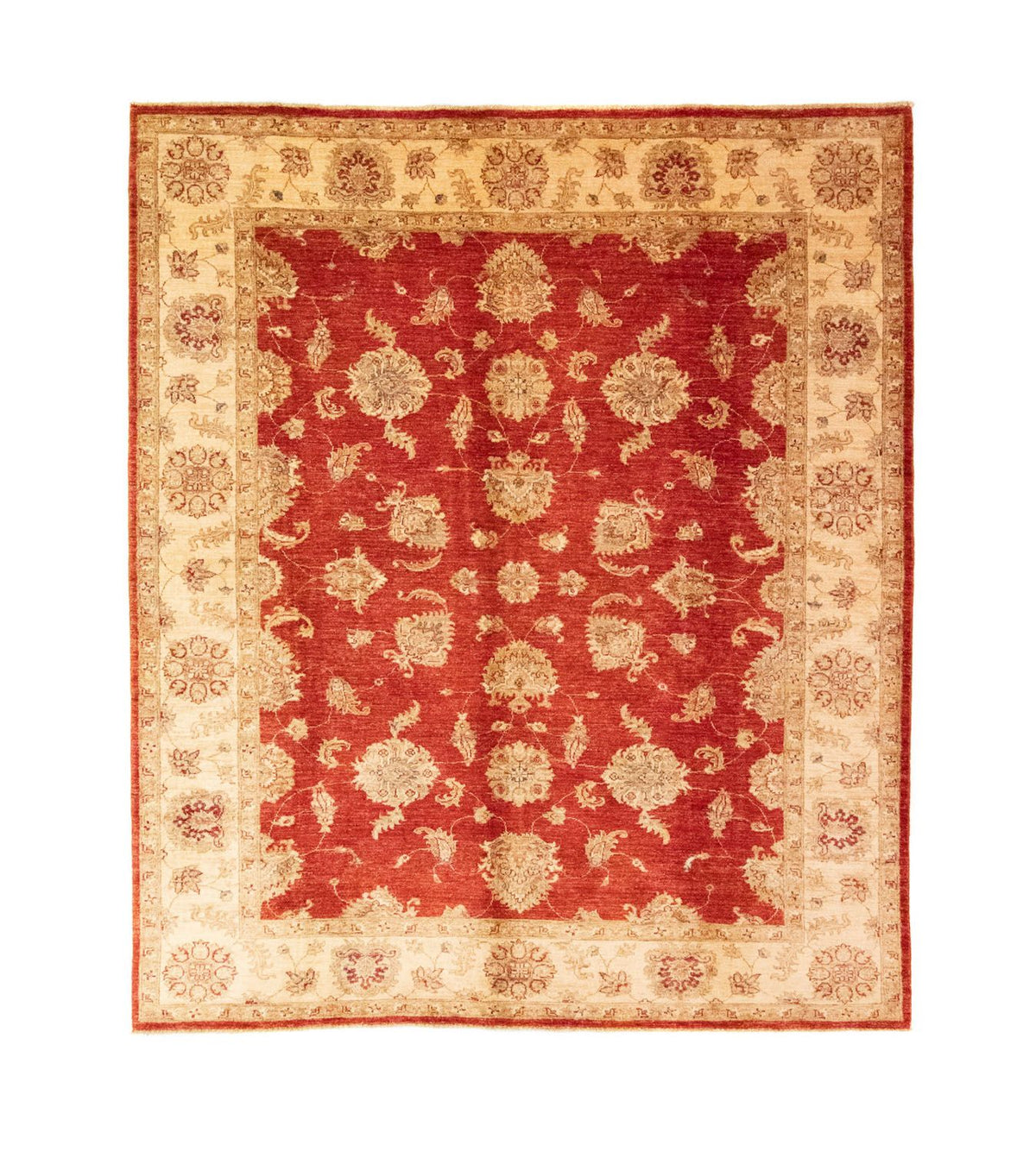 Ziegler Rug - 237 x 203 cm - red