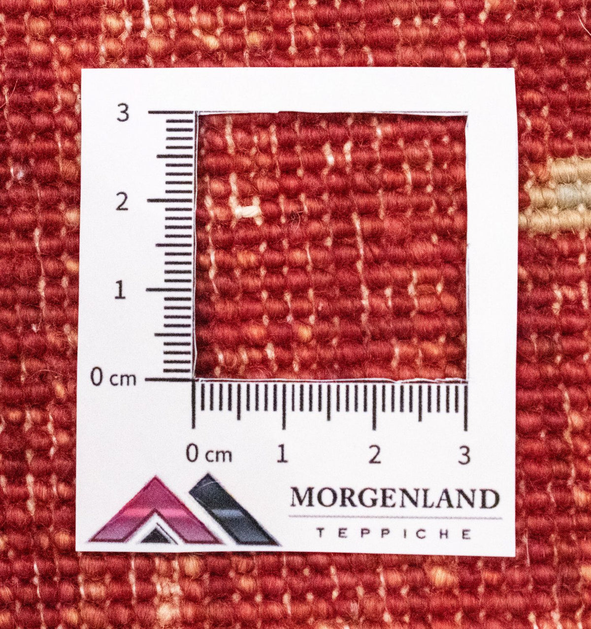 Runner Ziegler Rug - 301 x 82 cm - red