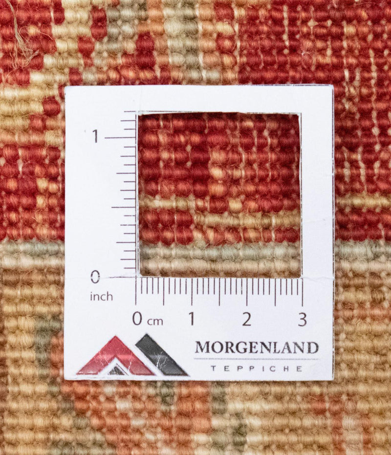 Ziegler Rug - 302 x 252 cm - beige