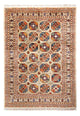 Ariana Rug 247x175cm - Oriental Rug
