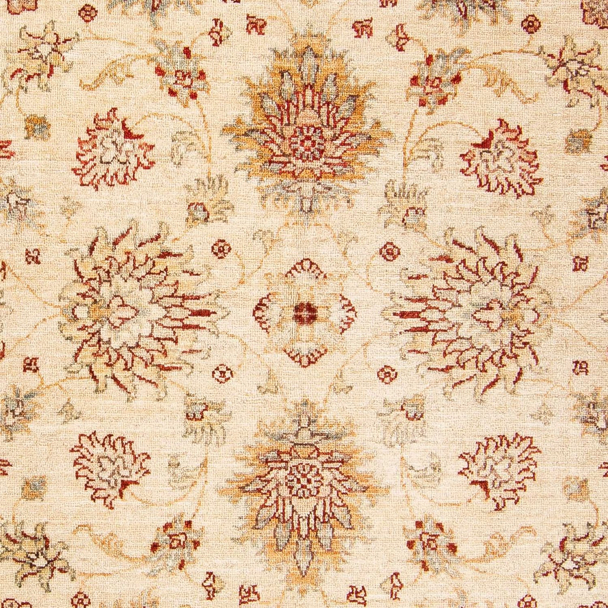 Ziegler Rug - 217 x 149 cm - beige
