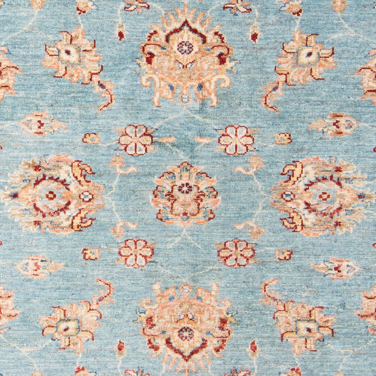 Ziegler Rug - 181 x 126 cm - light blue