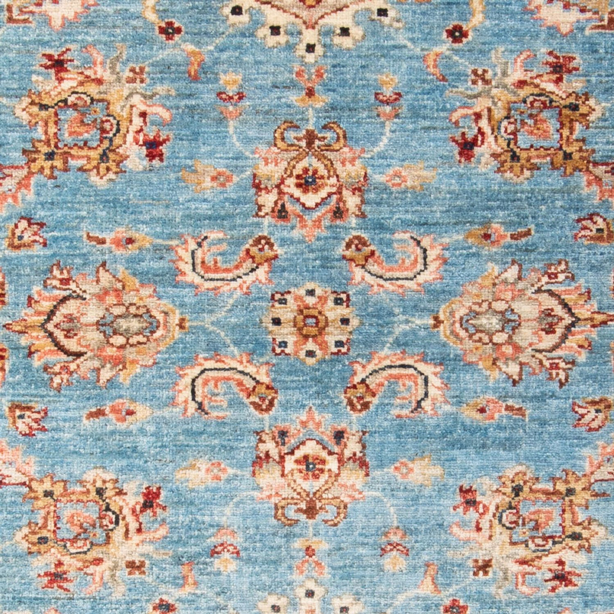 Ziegler Rug - 161 x 104 cm - light blue