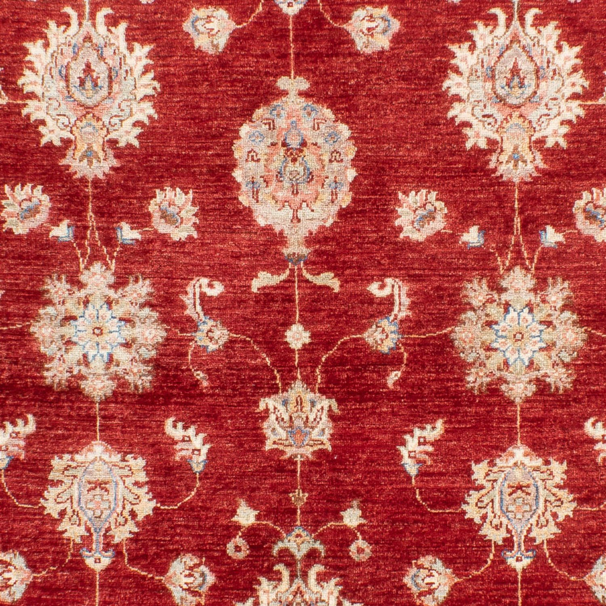 Ziegler Rug - 216 x 152 cm - red