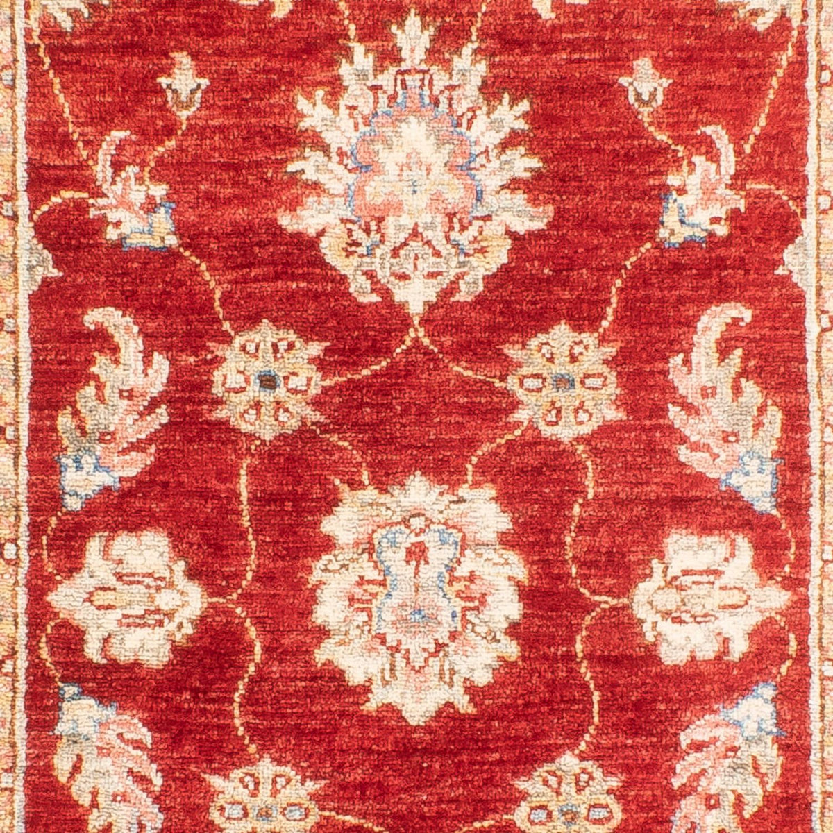 Runner Ziegler Rug - 216 x 83 cm - red