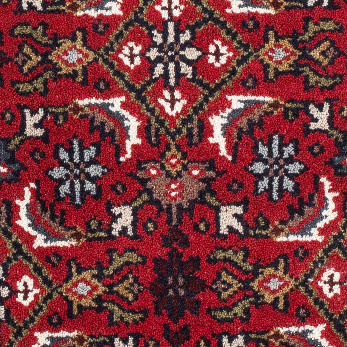 Oriental Rug - Bidjar - Indus - 90 x 60 cm - red