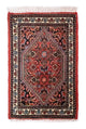 Bidjar Rug 60x40cm - Persian Rugs