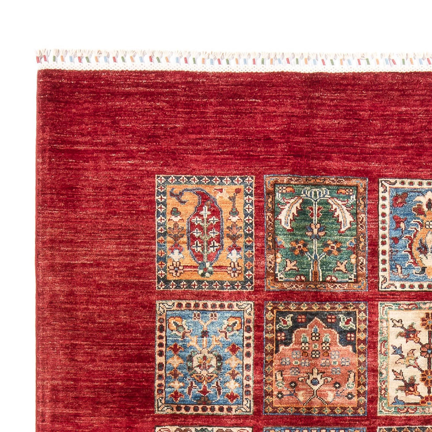 Bakhtiari Rug 255x175cm - Oriental Rug