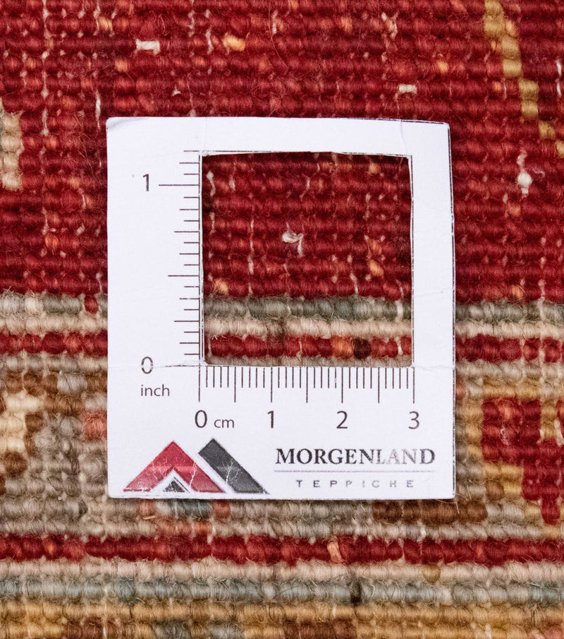 Ziegler Rug - 329 x 255 cm - beige