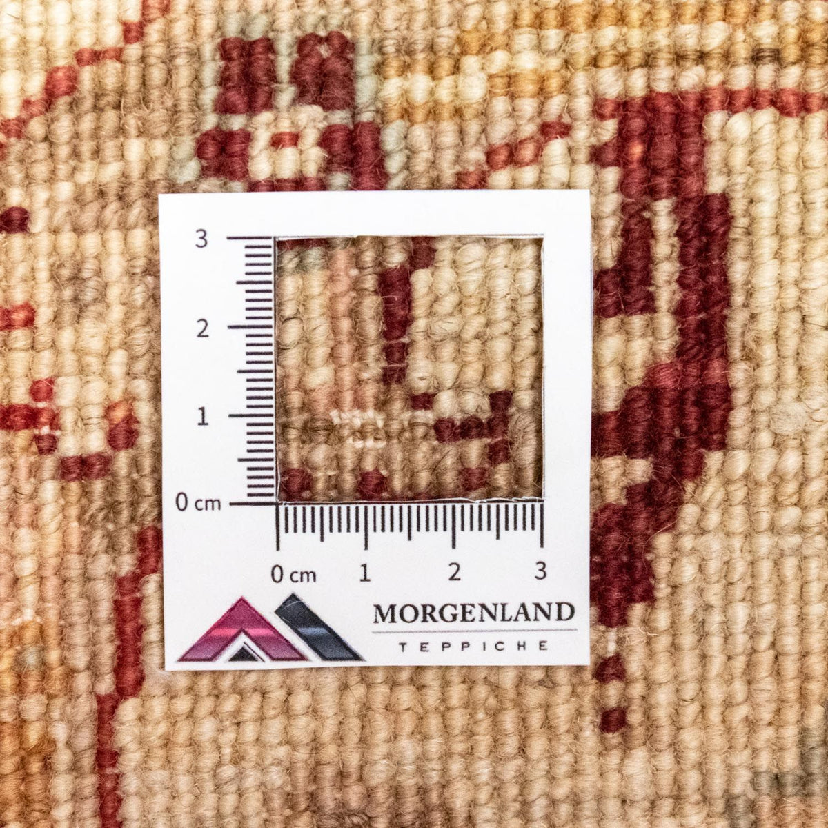 Ziegler Rug - 247 x 166 cm - red