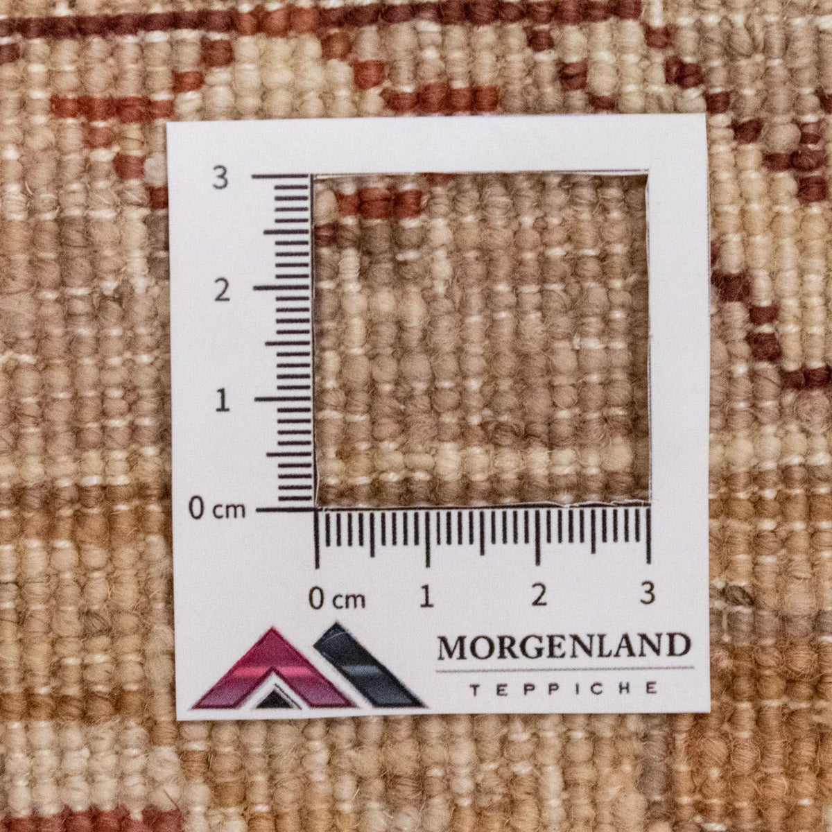 Ziegler Rug - 260 x 175 cm - beige