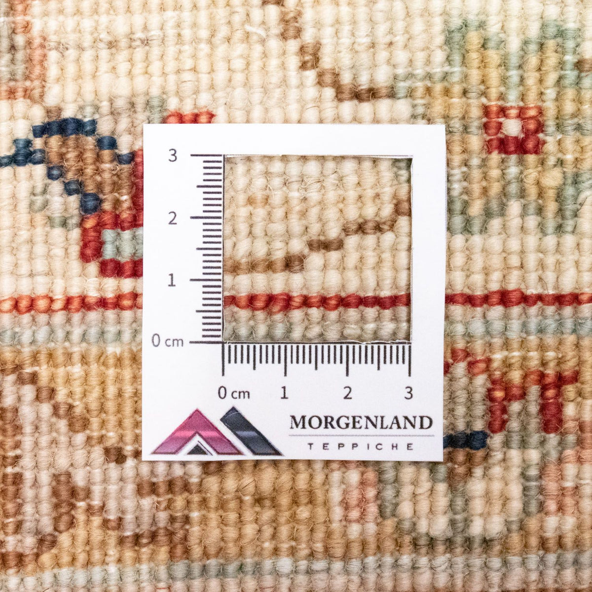 Ziegler Rug - 263 x 167 cm - blue