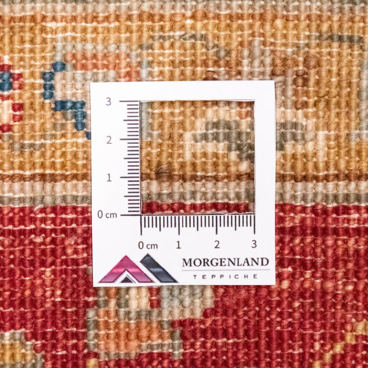 Ziegler Rug - 240 x 169 cm - beige