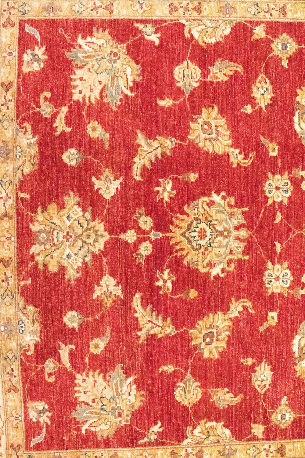 Ziegler Rug - 202 x 150 cm - red