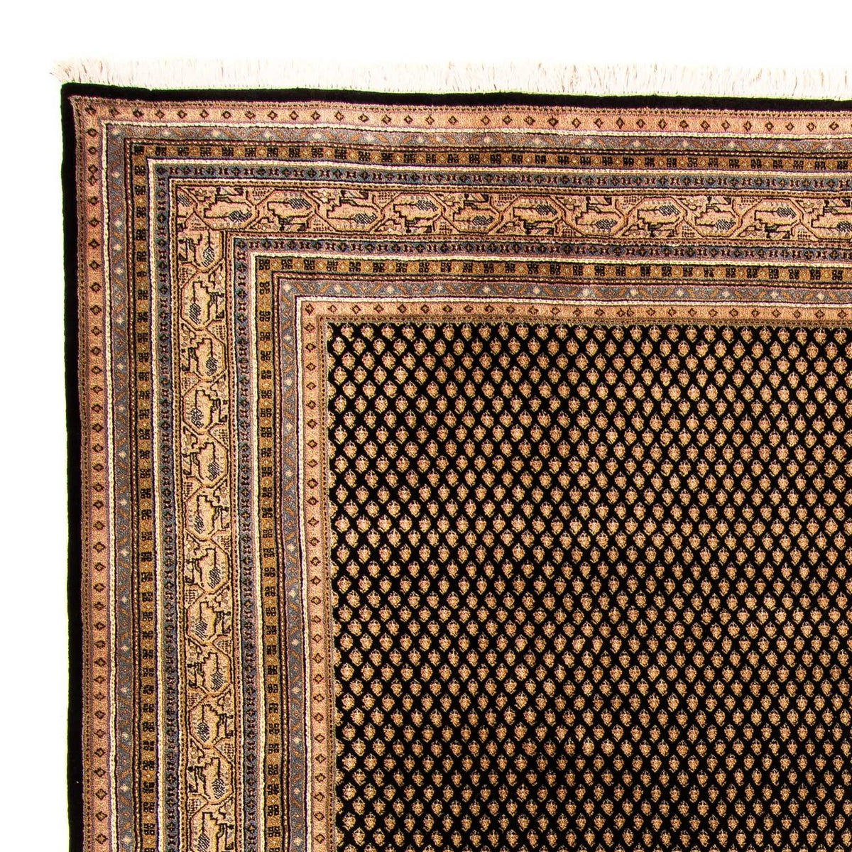 Indo Mir Rug 250x296cm - Oriental Rug