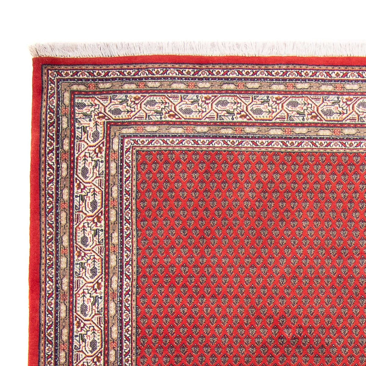 Indo Mir Rug 173x239cm - Oriental Rug