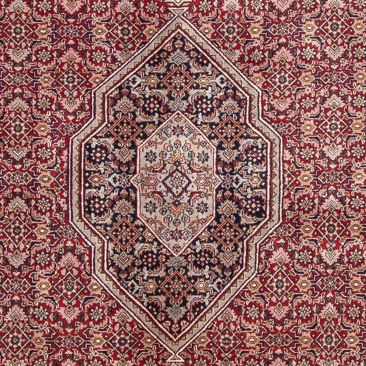 Oriental Rug - Bidjar - Indus - 336 x 246 cm - dark red