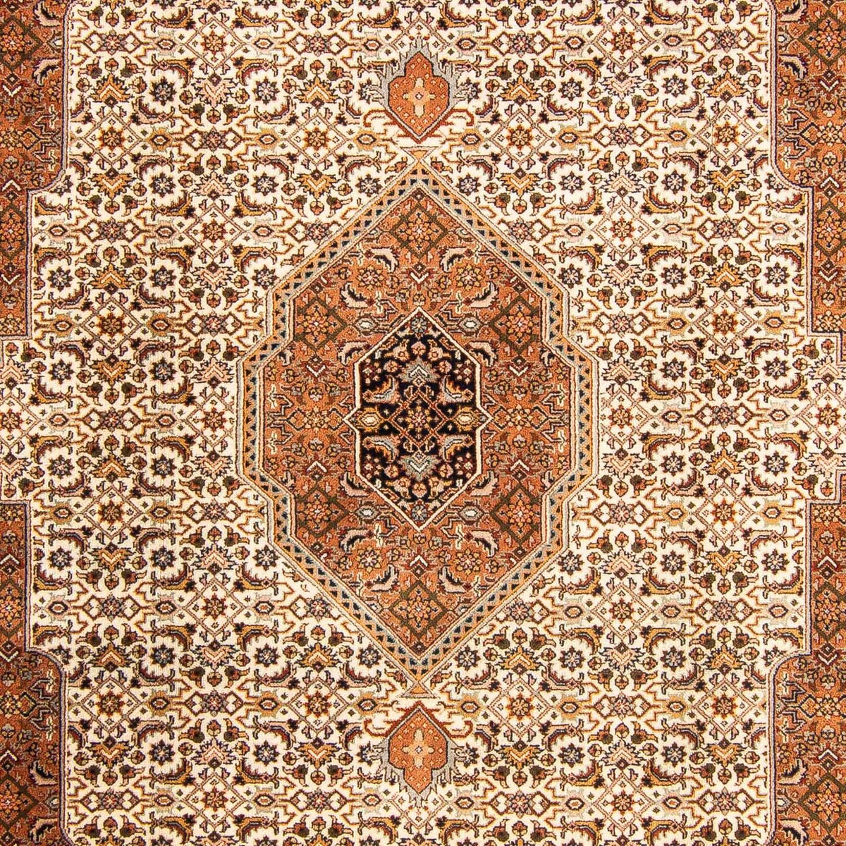 Oriental Rug - Bidjar - Indus - 299 x 201 cm - beige