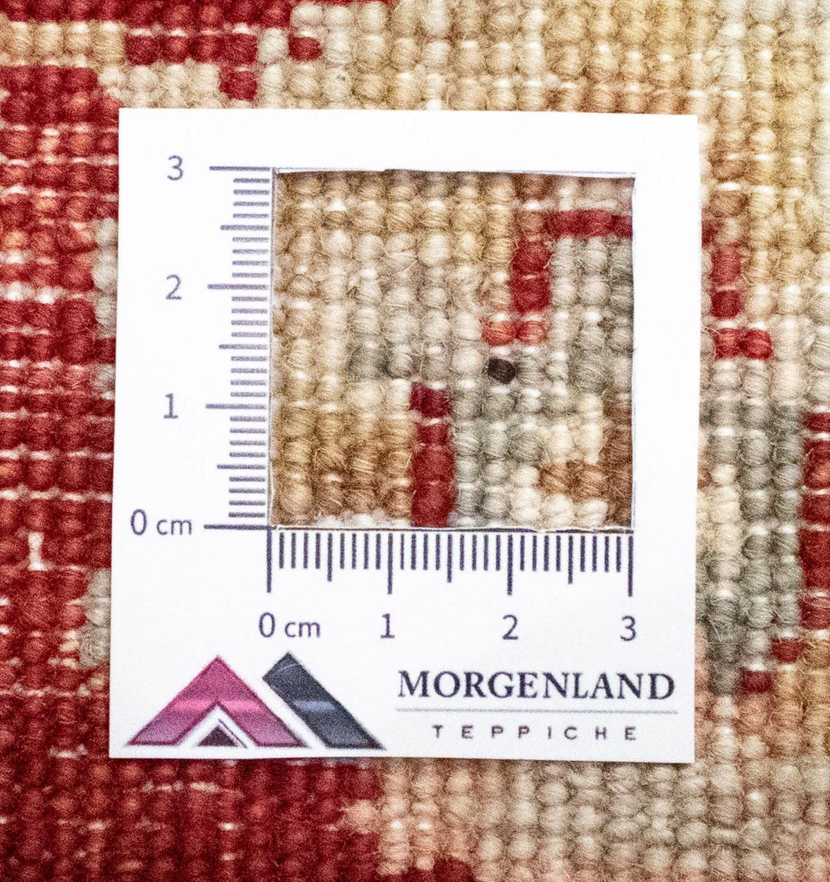 Ziegler Rug - 122 x 77 cm - beige