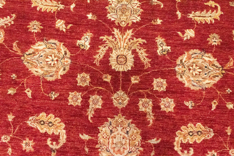 Ziegler Rug - 296 x 210 cm - red