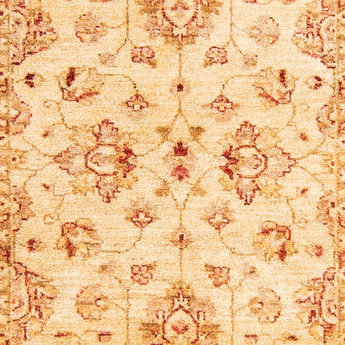 Runner Ziegler Rug - 243 x 79 cm - beige