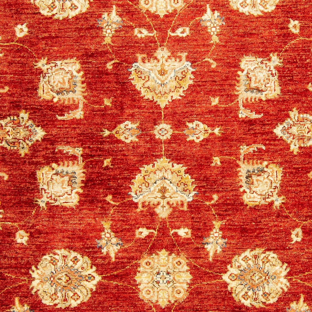 Ziegler Rug - 207 x 152 cm - dark red