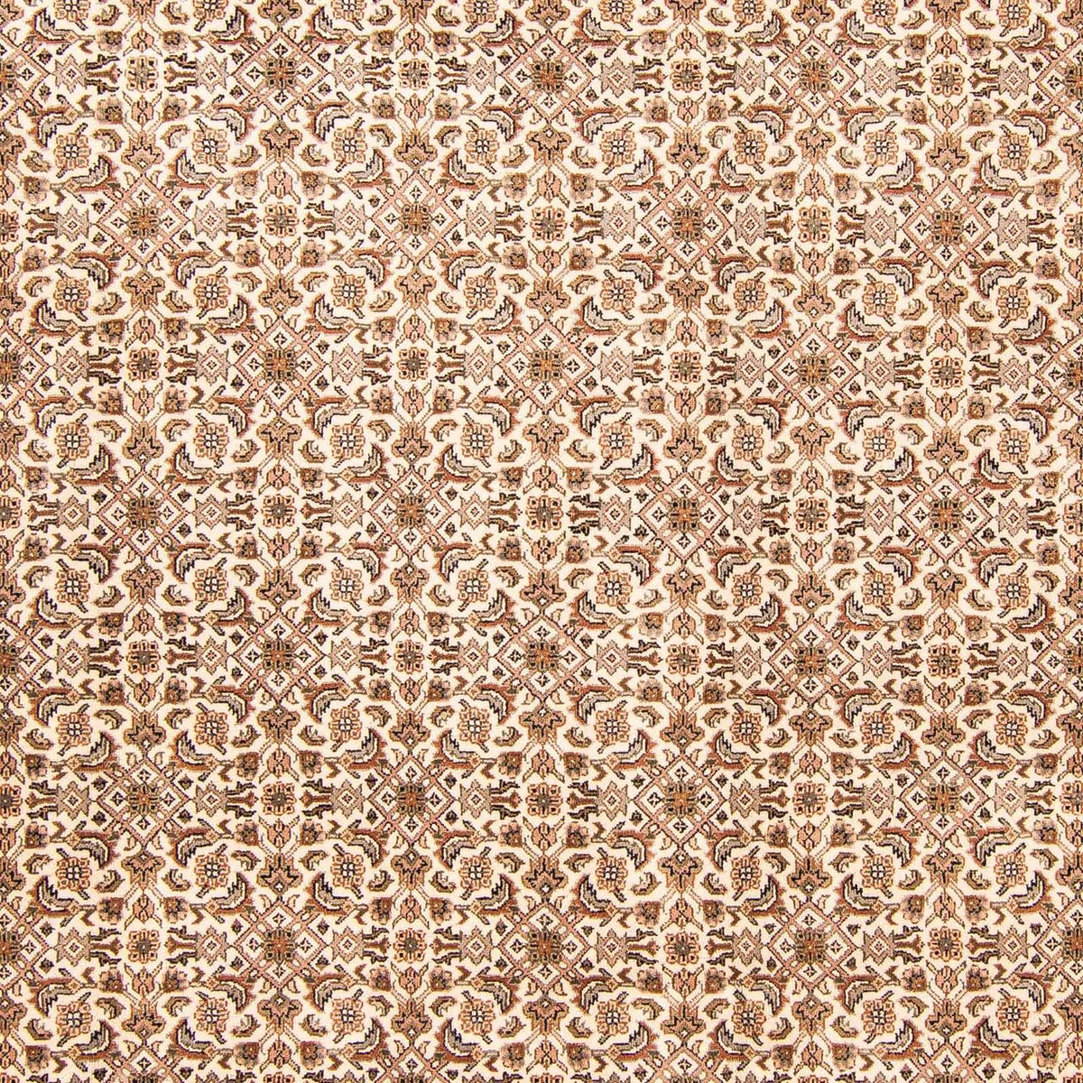 Oriental Rug - Bidjar - Indus - 303 x 248 cm - beige