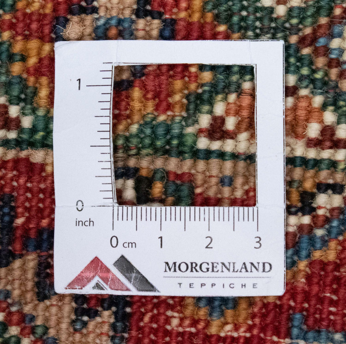 Ziegler Rug - 294 x 213 cm - multicolored