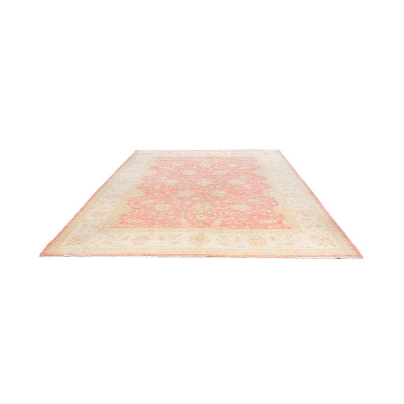 Ziegler Rug - 347 x 258 cm - light red