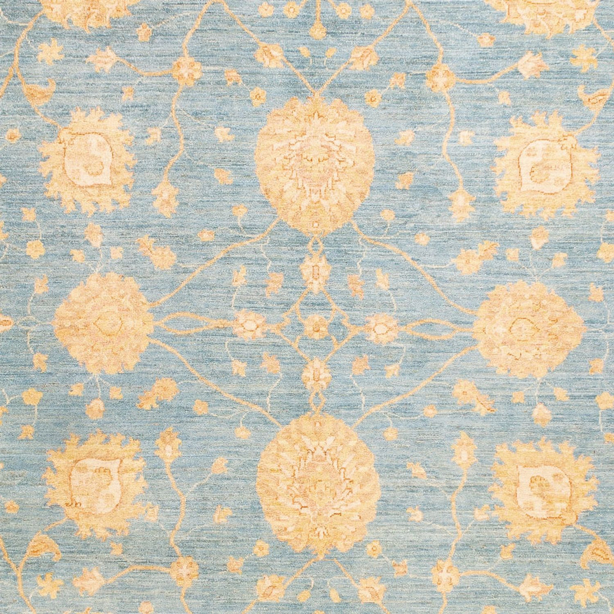 Ziegler Rug - 343 x 248 cm - light blue