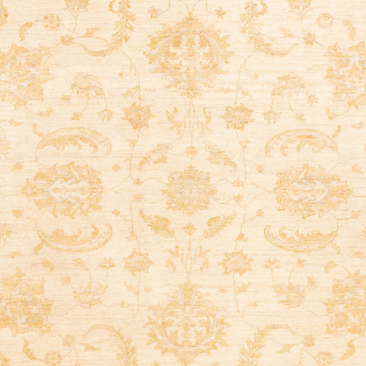 Ziegler Rug - 342 x 255 cm - beige