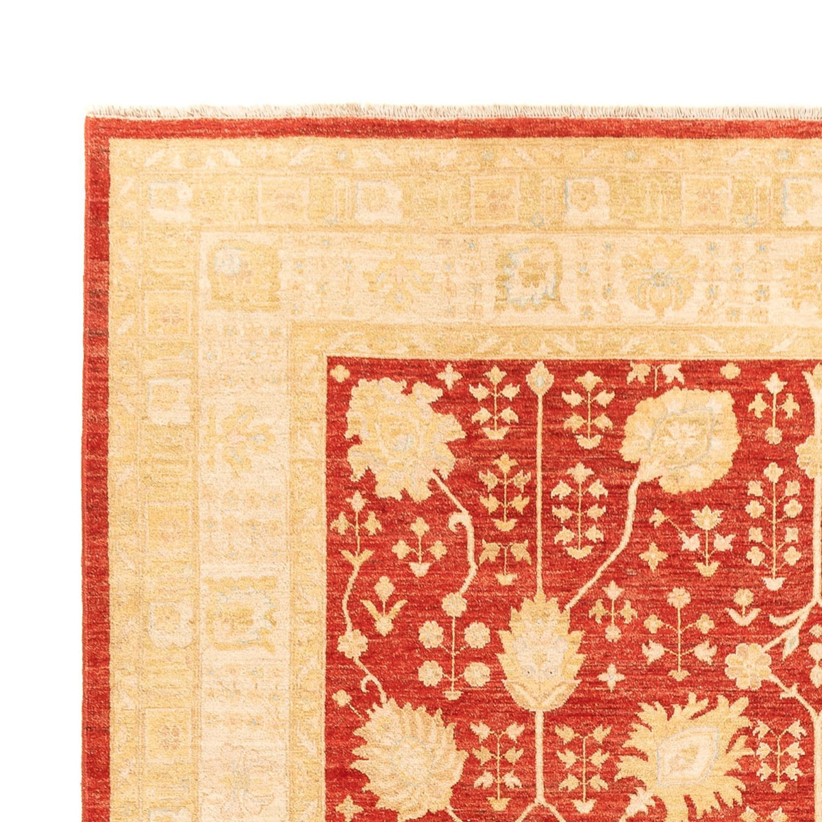 Ziegler Rug 254x343cm - Oriental Rug