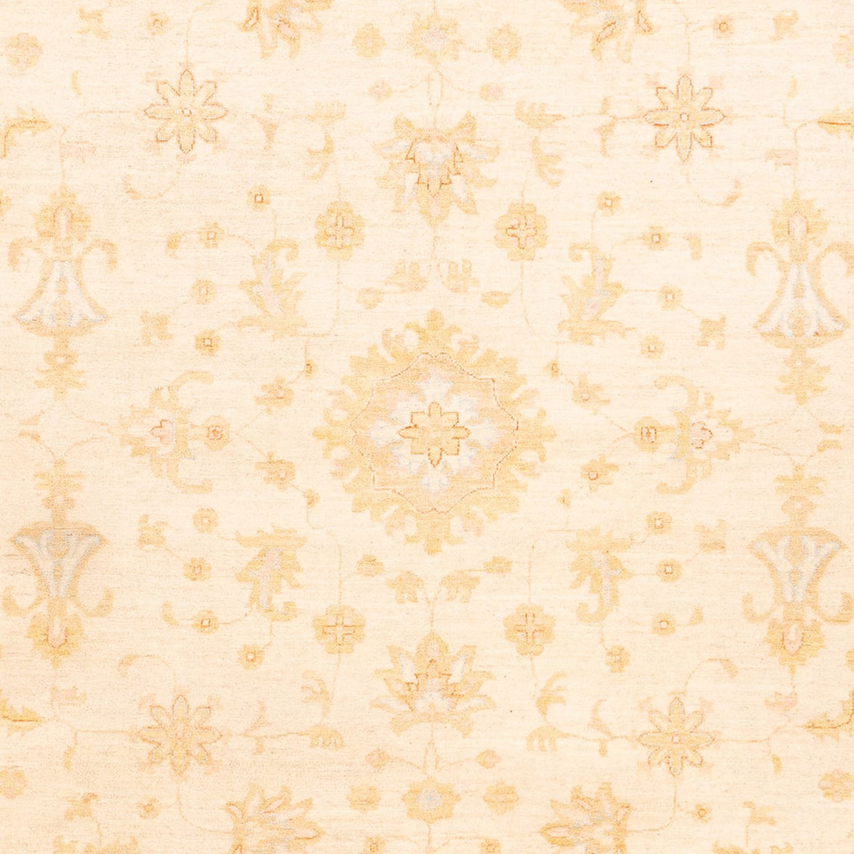 Ziegler Rug - 343 x 249 cm - beige
