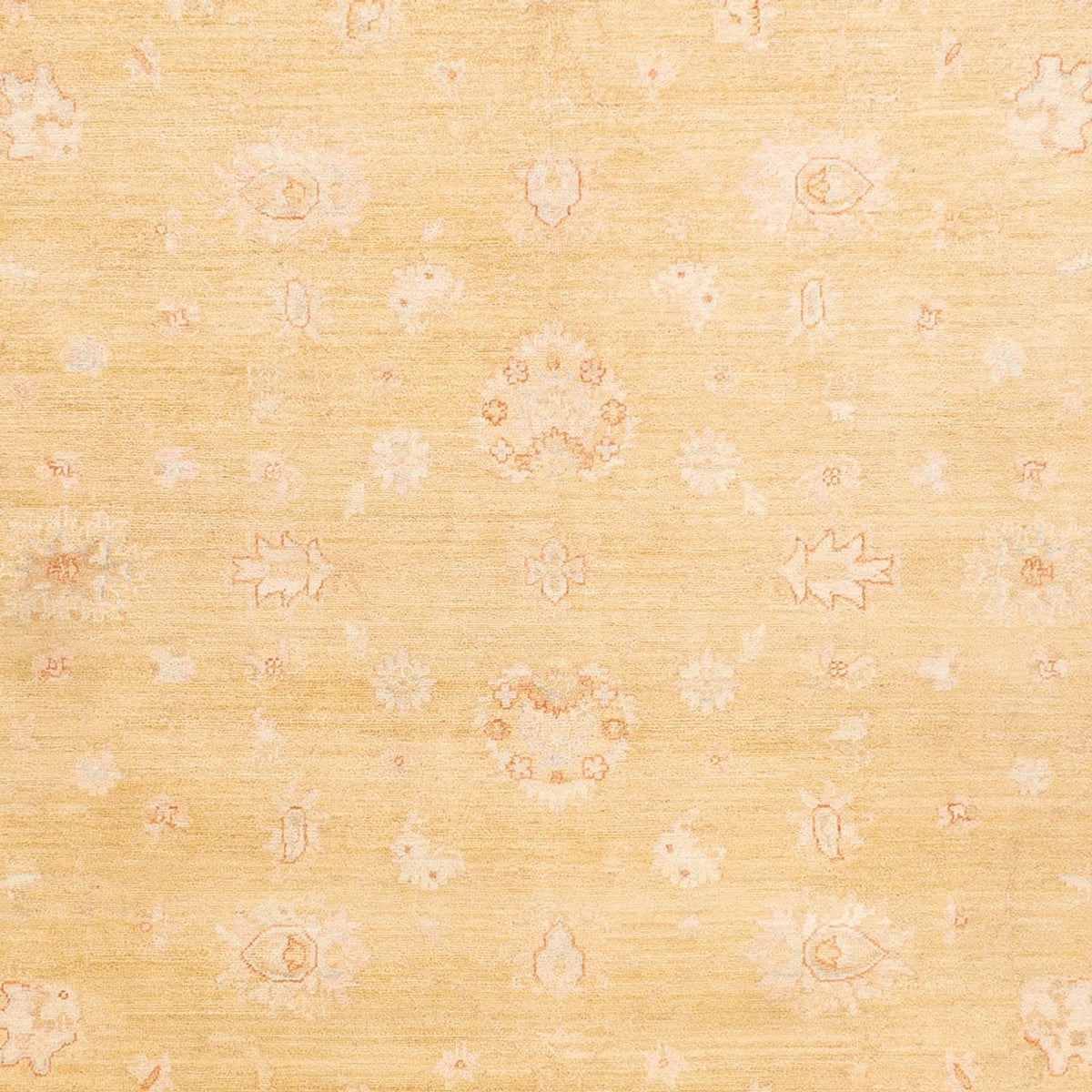 Ziegler Rug - 350 x 255 cm - beige