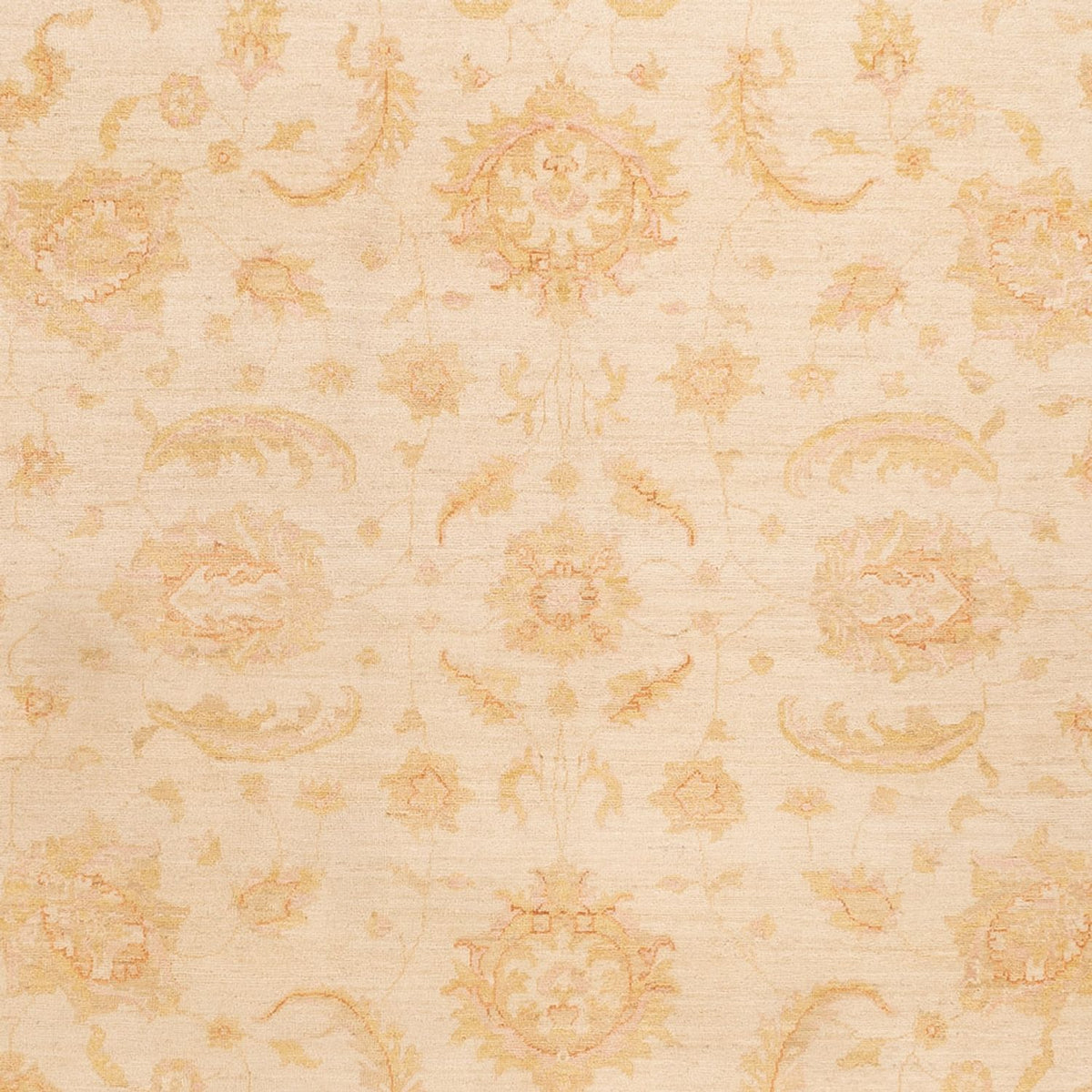 Ziegler Rug - 342 x 256 cm - beige