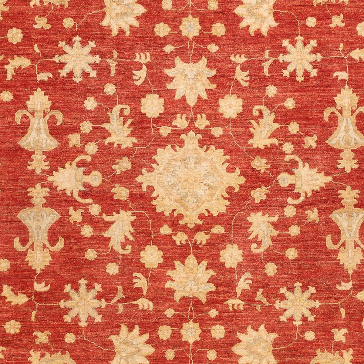 Ziegler Rug - 343 x 254 cm - red