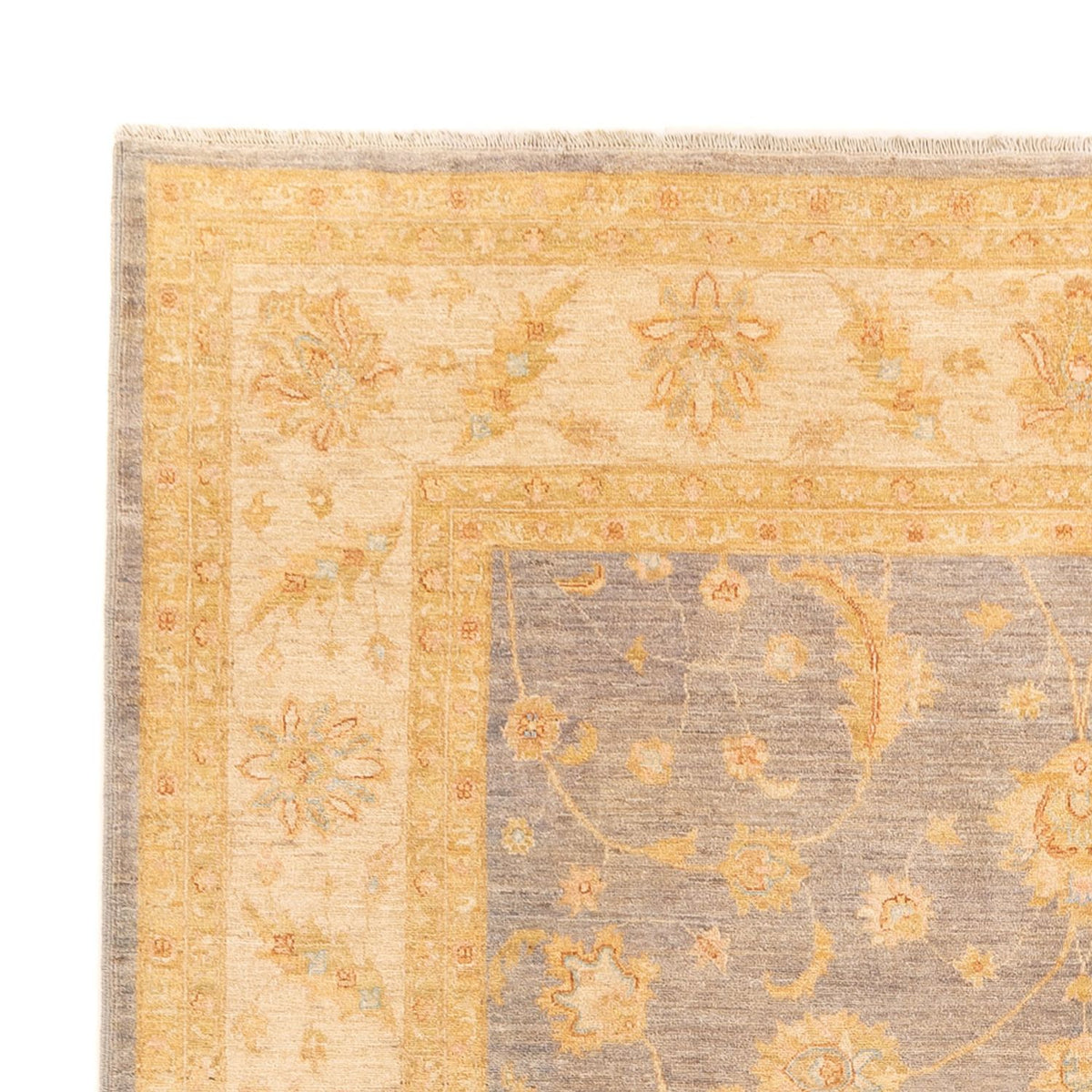 Ziegler Rug - 351 x 254 cm - beige