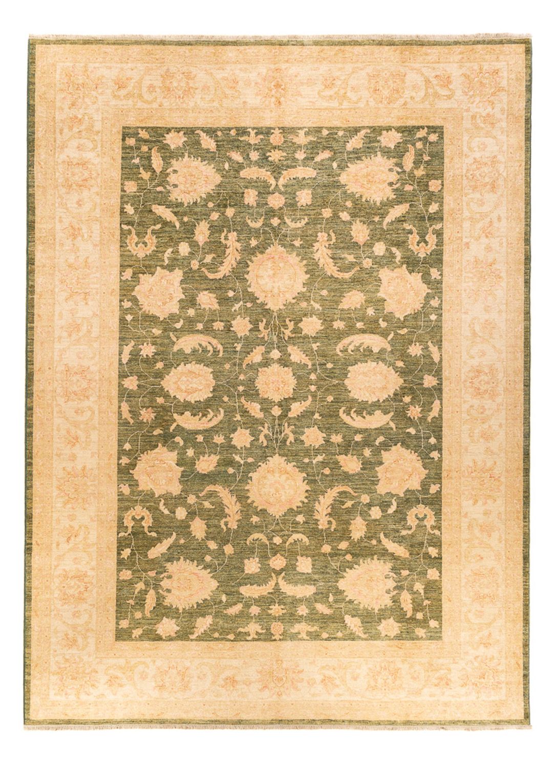 Ziegler Rug - 342 x 249 cm - beige
