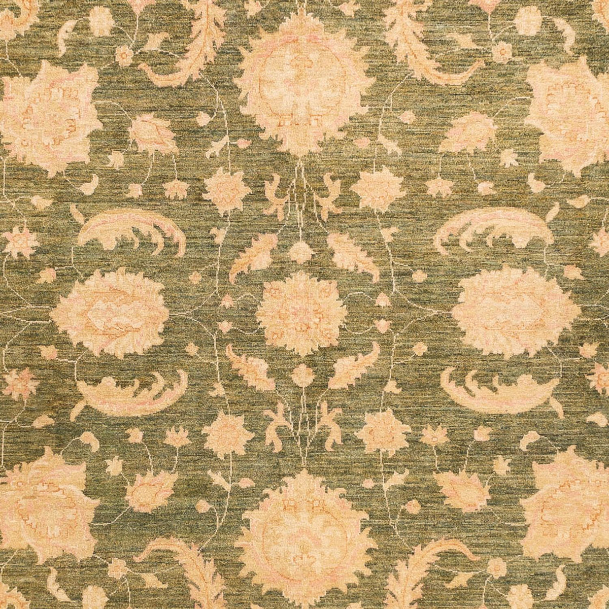 Ziegler Rug - 342 x 249 cm - beige