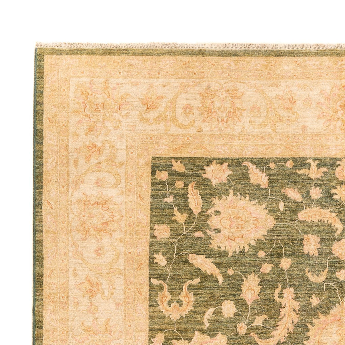 Ziegler Rug - 342 x 249 cm - beige