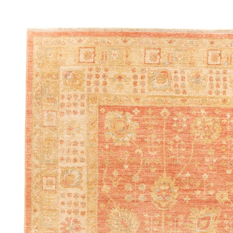 Ziegler Rug - 341 x 251 cm - light red