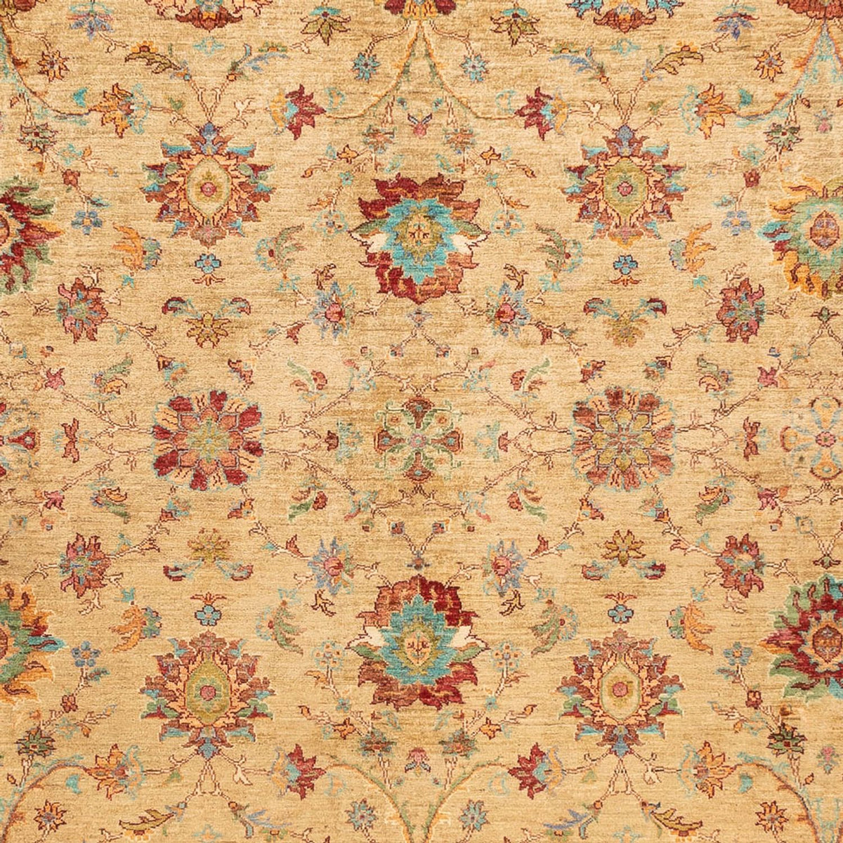 Ziegler Rug - Ariana - 331 x 239 cm - beige