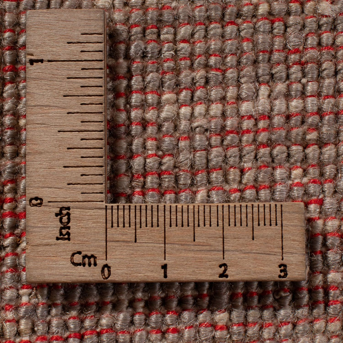 Ziegler Rug - Ariana - 347 x 240 cm - light brown