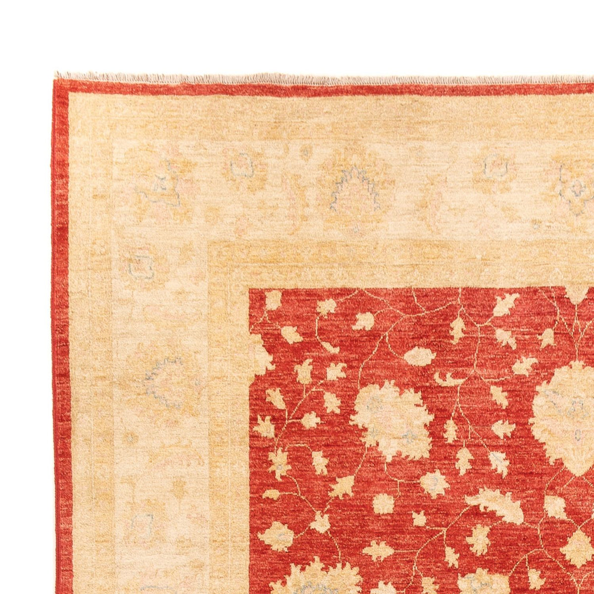 Ziegler Rug 254x355cm - Oriental Rug
