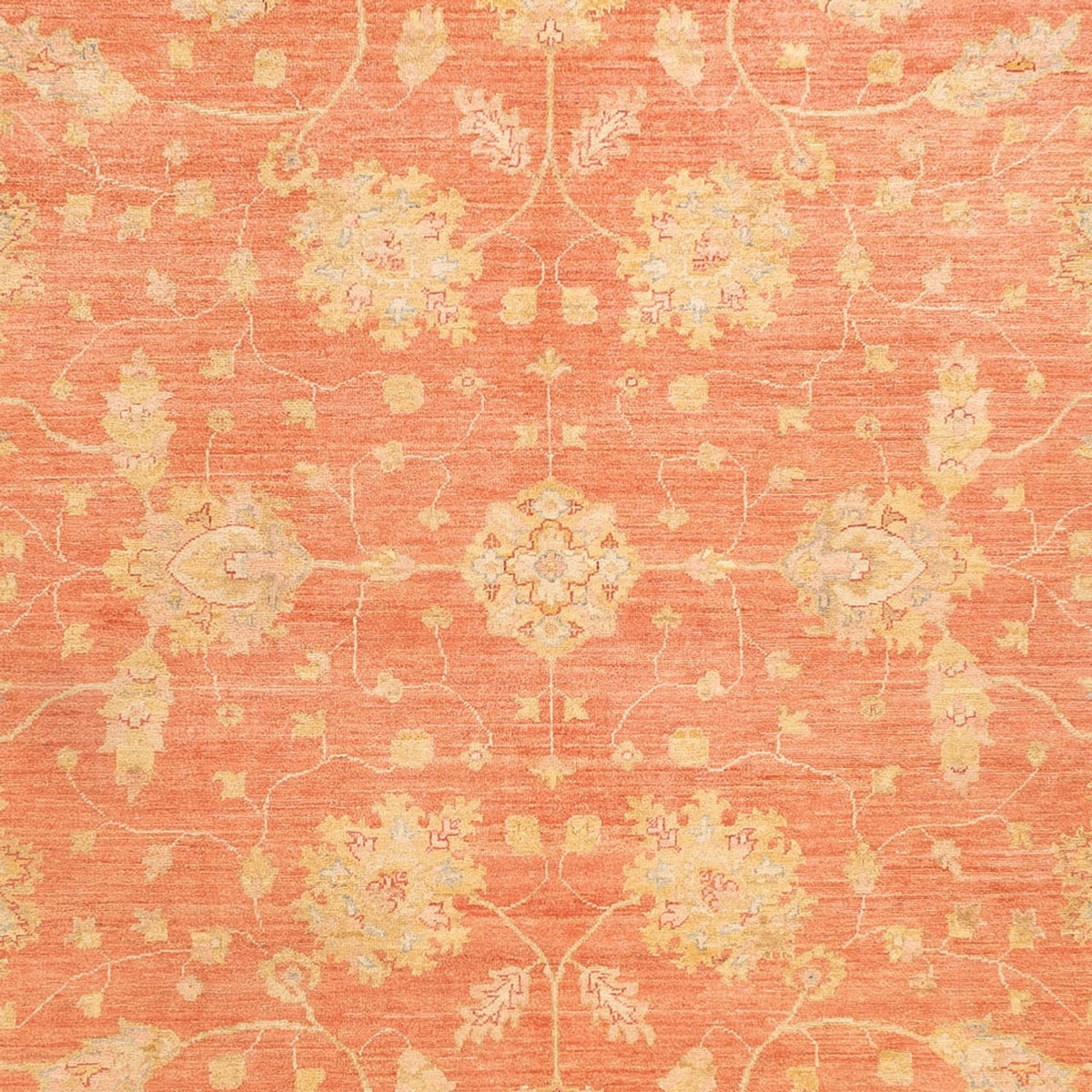 Ziegler Rug - 342 x 256 cm - red