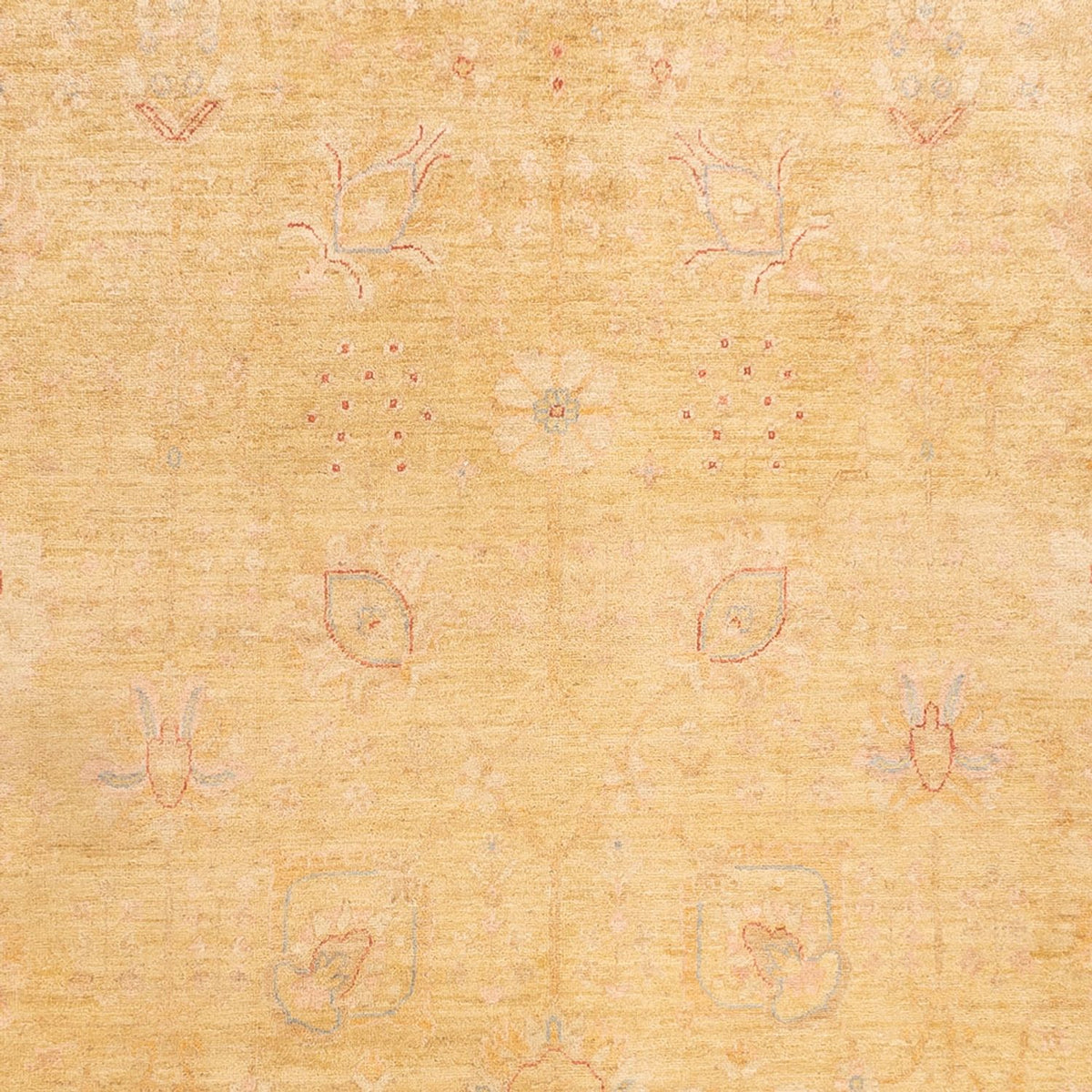 Ziegler Rug - 323 x 248 cm - beige