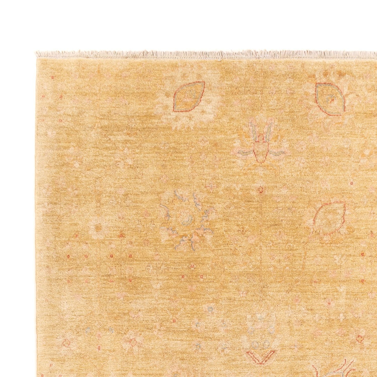 Ziegler Rug 248x323cm - Oriental Rug