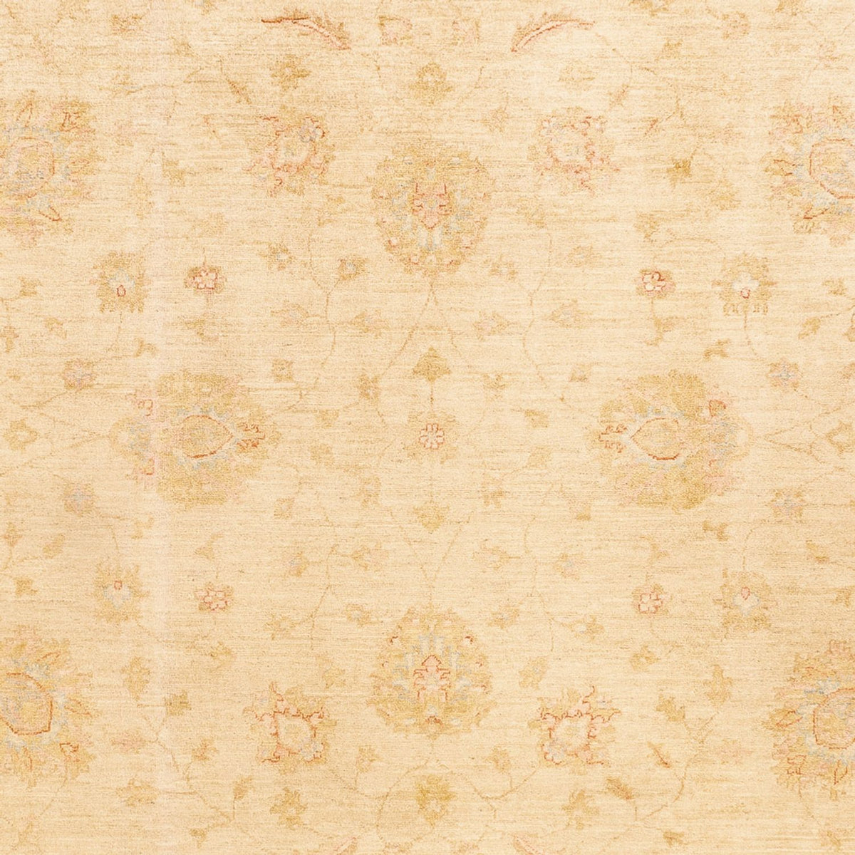 Ziegler Rug - 348 x 257 cm - beige