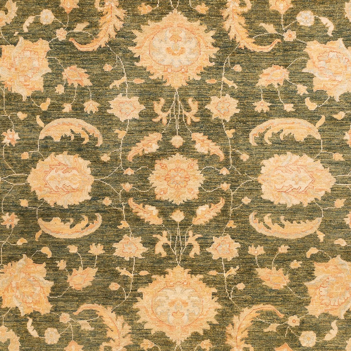 Ziegler Rug - 346 x 258 cm - olive green